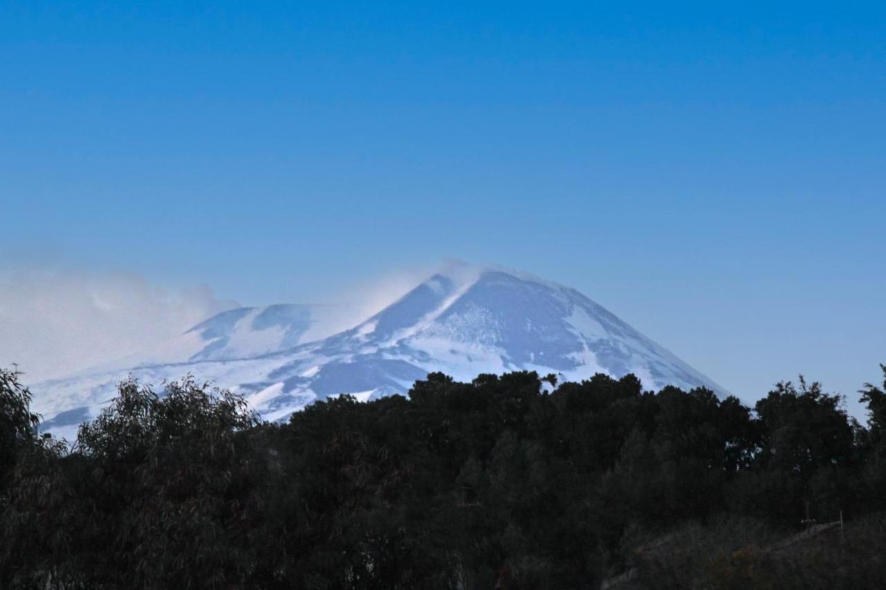 La Pietra Nera - Etna Home カターニア エクステリア 写真